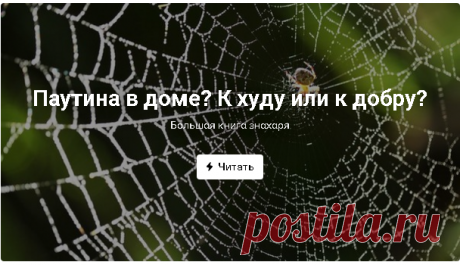 Новости