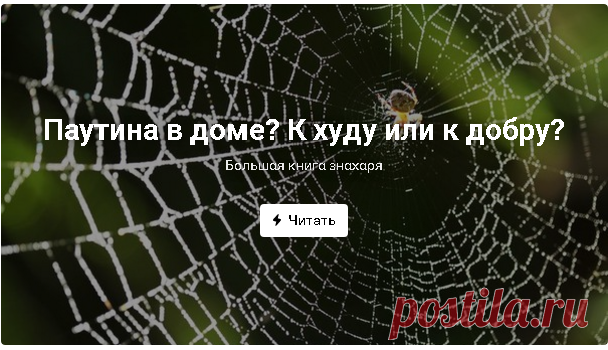Новости