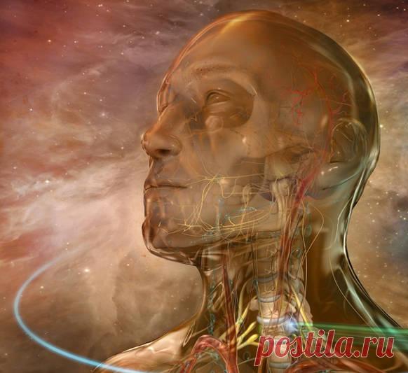 СВОБОДНАЯ ШЕЯ: 9 лучших упражнений для шейного отдела позвоночника Эти упражнения для шейного отдела позвоночника не только укрепляют мышцы и формируют осанку, но и способствуют снятию головных болей напряжения, которые возникают у большинства людей умственного труда.