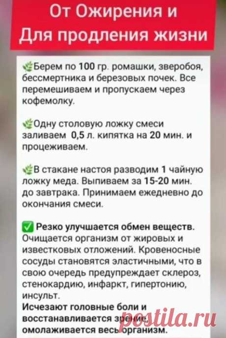 Информация предоставлена в ознакомительных целях.
Перед применением любых советов, рецептов или средств народной медицины, обязательно получите консультацию специалиста.
САМОЛЕЧЕНИЕ МОЖЕТ БЫТЬ ВРЕДНЫМ ДЛЯ ВАШЕГО ЗДОРОВЬЯ!