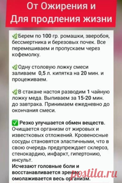 Информация предоставлена в ознакомительных целях.
Перед применением любых советов, рецептов или средств народной медицины, обязательно получите консультацию специалиста.
САМОЛЕЧЕНИЕ МОЖЕТ БЫТЬ ВРЕДНЫМ ДЛЯ ВАШЕГО ЗДОРОВЬЯ!