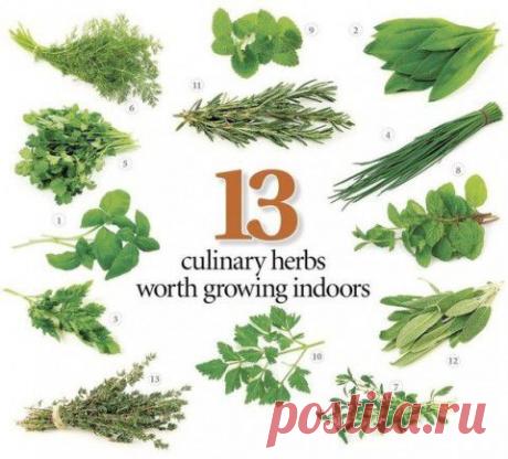 Мамам, женщинам, бабушкам и очень любознательным.