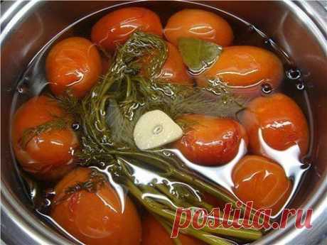 Помидоры суточные

Ингредиенты:
1 кг помидор берут
1 столовая ложка соли
1 столовая ложка сахара
100 гр 6% уксуса
5-7 зубков чеснока
2 -3 стручка горького перца
укроп

Приготовление:
1. Помидоры должны быть твердые, с удлиненным кончиком, режут на 4 части, посыпают нарезанным чесноком, перцем и укропом.
2. В уксусе растворить соль и сахар, залить, положить гнет и в холодильник. Воду не добавлять.
3. Через сутки помидоры готовы.
подробнее