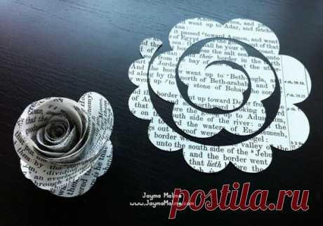 (12) Pinterest