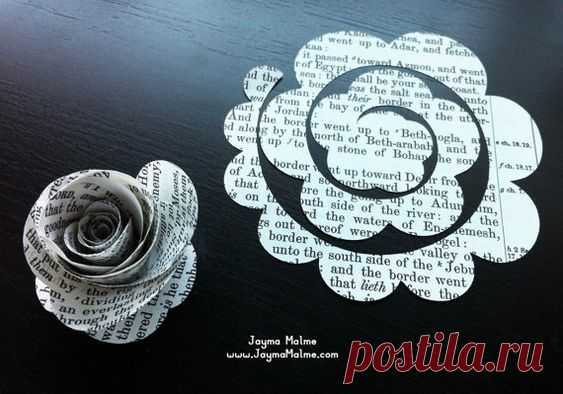(12) Pinterest