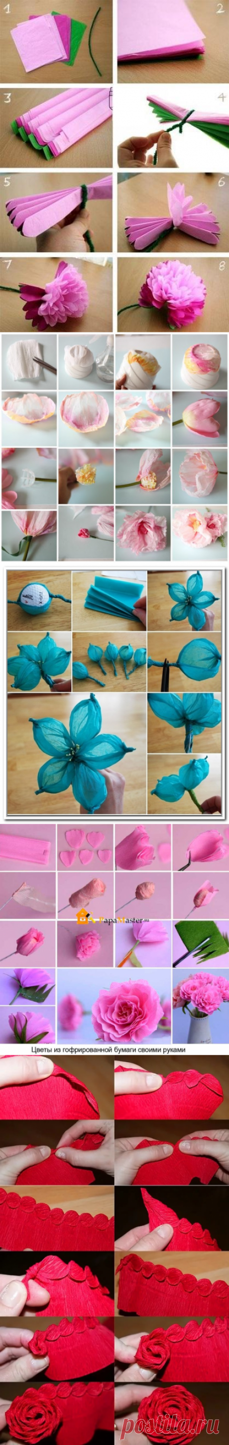 Цветы из гофрированной бумаги: красивее живых — Сделай сам, идеи для творчества - DIY Ideas
