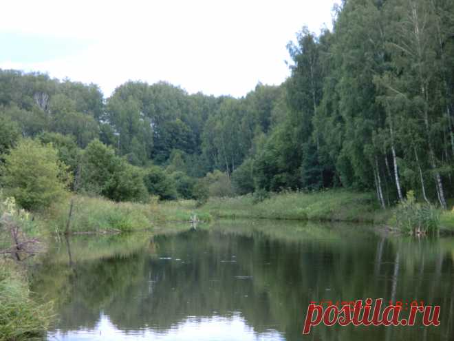 Природа нашего края