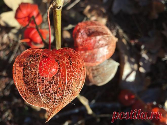 Пин на доске Arm Tattoo Ideas