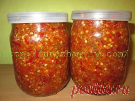 Кавказская аджика