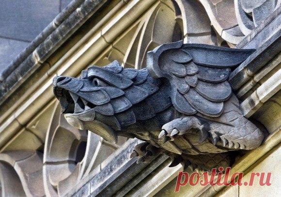 Мистические Гаргульи Гаргу́лья, также гаргу́йль - в готической архитектуре: каменный или металлический выпуск водосточного жёлоба, чаще всего скульптурно оформленный в виде гротескного персонажа (иногда — многофигурного сюжета) и предназначенный для эффективного отвода дождевого стока от вертикальных...