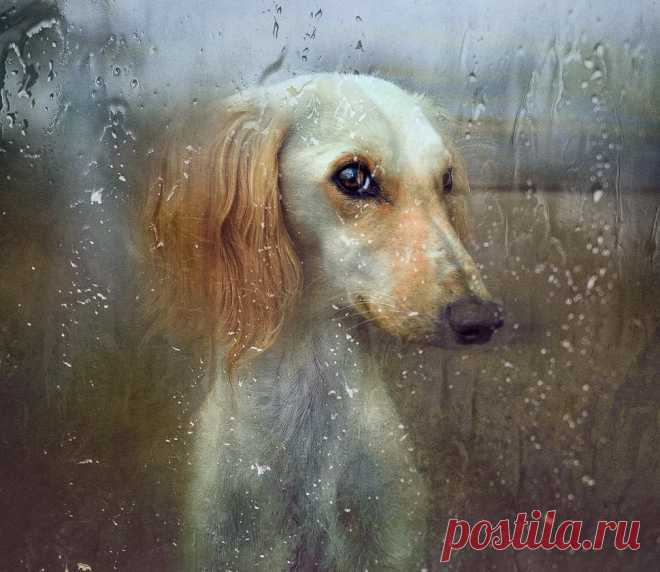 Искра Селезнева | ВКонтакте