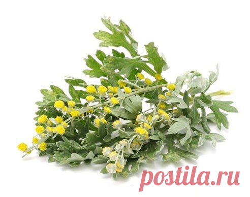 (99) Одноклассники