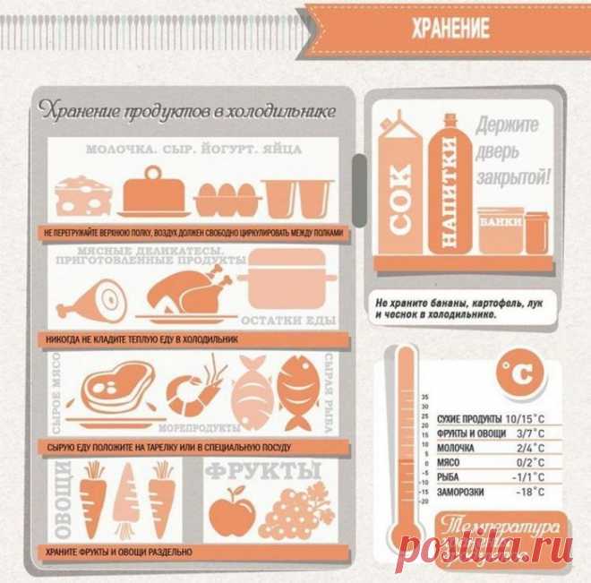 Примерное расположение продуктов в холодильнике (инфографика) (home.cookery.produkpitaniya) : Рассылка : Subscribe.Ru