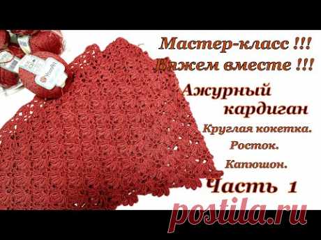 Мастер -класс !!! Вяжем вместе ажурный кардиган "Денежное дерево "