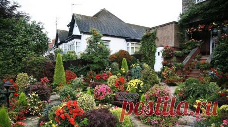 Дизайн сада (154 фото): ландшафтное проектирование участка и огорода площадью 6 соток, с какими цветами сочетается лилейники