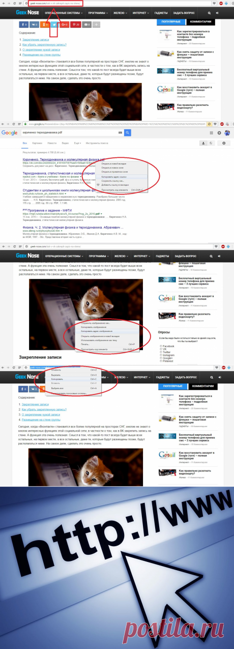 URL адрес страницы сайта: Что это такое и где его взять?