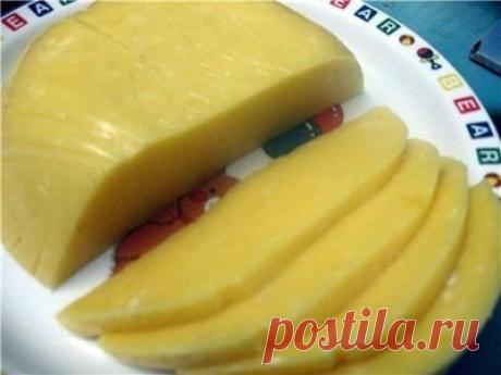 Домашний твердый сыр
Приготовить домашний твердый сыр не так уж и сложно. Такой сыр можно смело давать малышу, ведь в нем не будет никаких ароматических добавок и красителей.
Ингредиенты:
Показать полностью...