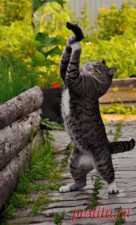 geram: Каким судом судите,таким будете судимы;и какою мерою мерите,такою и вам будут мерить---Иисус Христос