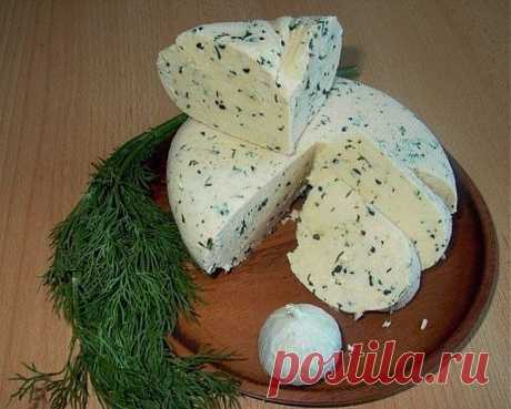 Домашний сыр.