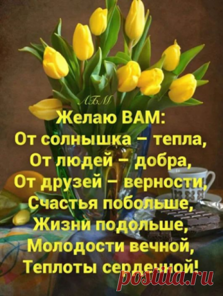 Фитхакер - Публикации