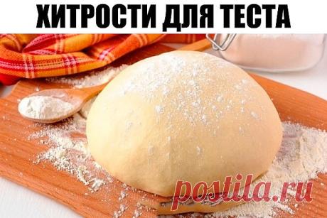 Век живи, век учись. Хитрости для теста!

1. Всегда добавляйте в тесто разведенный картофельный крахмал – булки и пироги будут пышными и мягкими даже на следующий день. Главное условие вкусных пирогов — пышное, хорошо взошедшее тесто: муку для теста необходимо просеять: из нее удаляются посторонние примеси, и она обогащается кислородом воздуха

2. В любое тесто (кроме пельменного, слоеного, заварного, песочного), то есть тесто на пироги, блины, хлеб, оладьи — на пол литра ...