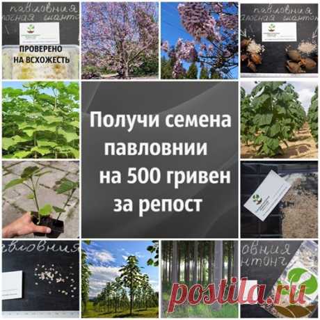 (9) Facebook