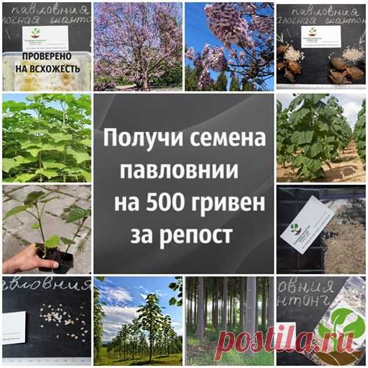 (9) Facebook