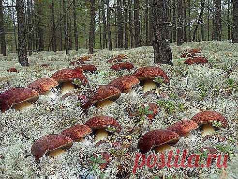 Построились?