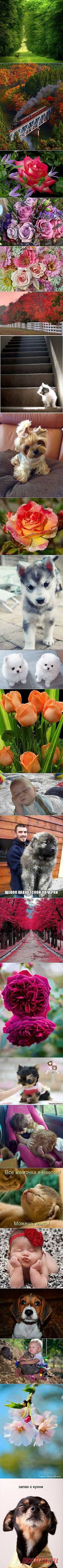 (3) Facebook