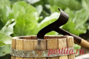 Серые щи (Старорусская кухня) — Сообщество «Вкусно жрать» на DRIVE2