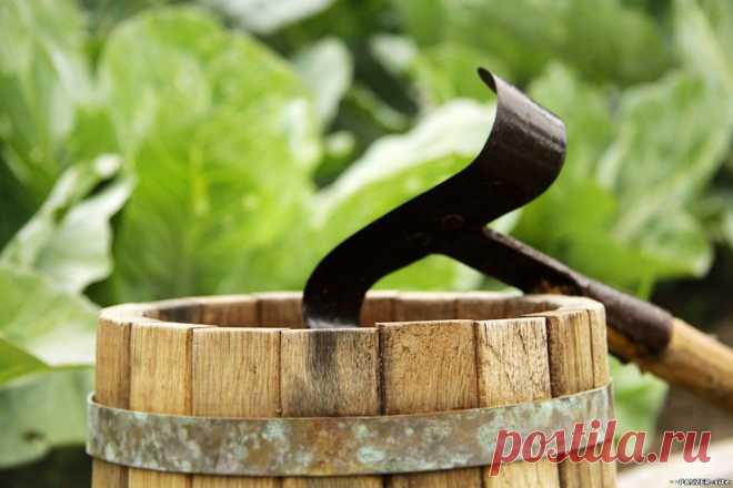 Серые щи (Старорусская кухня) — Сообщество «Вкусно жрать» на DRIVE2