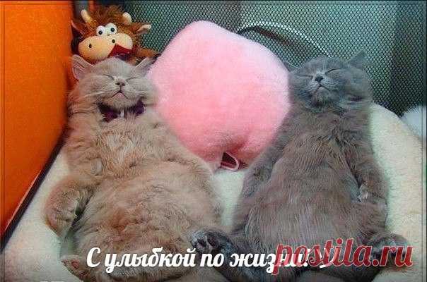 Жили-были Ох и Ах...
Все им было Пох и Нах!
