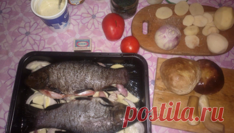 Грибные рецепты: шутливые, вкусные, проверенные | Грибной Дневник Лидии Бам | Яндекс Дзен