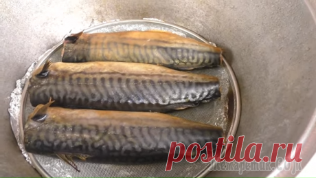 Отрезаем у бутылки горлышко и получаем лучший рецепт домашней копченой скумбрии