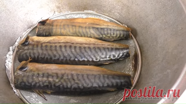 Отрезаем у бутылки горлышко и получаем лучший рецепт домашней копченой скумбрии