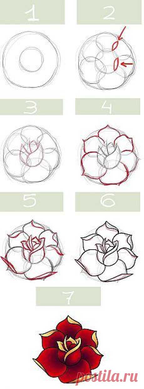 (451) Pinterest