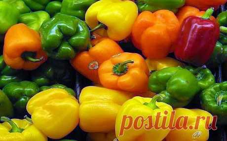 Лучшие сорта сладкого перца для Средней полосы, Сибири и Урала | Дачный участок