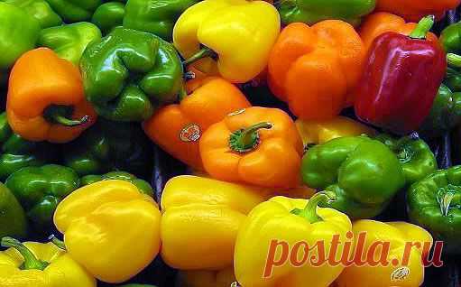 Лучшие сорта сладкого перца для Средней полосы, Сибири и Урала | Дачный участок