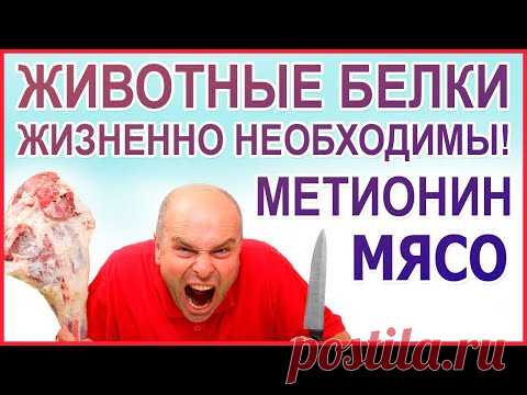 МЯСО нужно есть! Желудок - орган для мяса! Люди - это животные, значит должны есть мясо! Метионин.