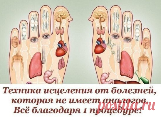 ПОЛЕЗНЫЕ СОВЕТЫ :
Сохраните, чтобы не потерять
СОВЕТ 1: Ноги испытывают огромную нагрузку на протяжении всего дня. Очень часто мы страдаем от усталости ног по вечерам, особенно женщины, которым так нравятся каблуки… Массаж ступней помогает снять напряжение, но делать его необходимо не только поэтому!
Согласно принципам рефлексологии, на ступнях ног расположены основные точки, которые отвечают за правильную работу всего организма. Такое простое действие, как массирование ног, поможет забыть о