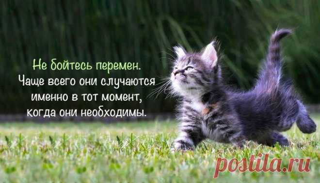 (+1) тема - Мудрость приходящяя со временем | Полезные советы