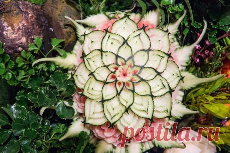 i-53556.jpg (600×399)