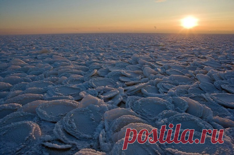 Блинчатый лёд на Онежском озере