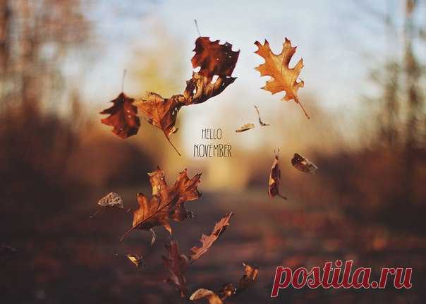 🍂🍁🍂🍁