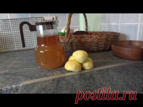 Рецепт Хмелевой Закваски - YouTube