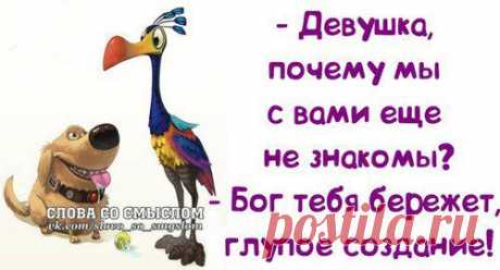 Интересные новости