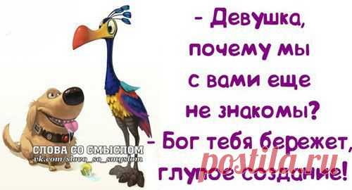 Интересные новости