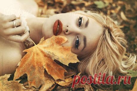 Чем умнее человек, тем больше ему нравится одиночество. Вот почему
Чем умнее человек, тем больше ему нравится одиночество. Вот почему Ух ты! The British Journal of Psychology недавно опубликовал исследование, которое сосредоточилось на связях между навыками социализации и умением вести себя в межличностных отношениях с интеллектом человека. Иными словами, цель была одна: выяснить, как друзья умных и не очень людей влияют на их ощущение счастья. […]
Читай пост далее на сайте. Жми ⏫ссылку выше