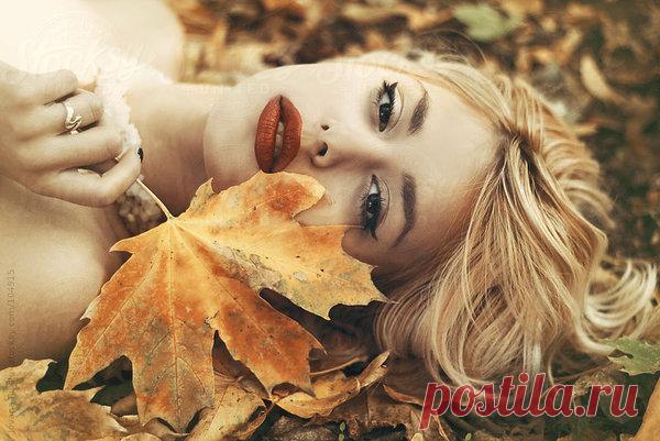 Чем умнее человек, тем больше ему нравится одиночество. Вот почему
Чем умнее человек, тем больше ему нравится одиночество. Вот почему Ух ты! The British Journal of Psychology недавно опубликовал исследование, которое сосредоточилось на связях между навыками социализации и умением вести себя в межличностных отношениях с интеллектом человека. Иными словами, цель была одна: выяснить, как друзья умных и не очень людей влияют на их ощущение счастья. […]
Читай пост далее на сайте. Жми ⏫ссылку выше