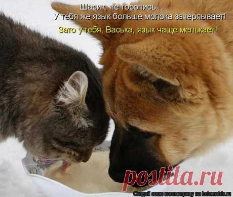 Друг это не тот который познается в беде, а тот который смог не позавидовать когда ты счастлив!